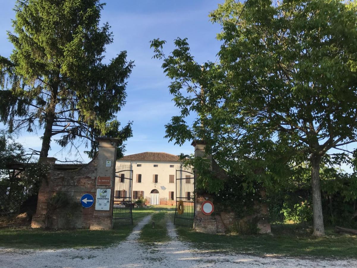 Agriturismo Corte Galvagnina Cesole Dış mekan fotoğraf